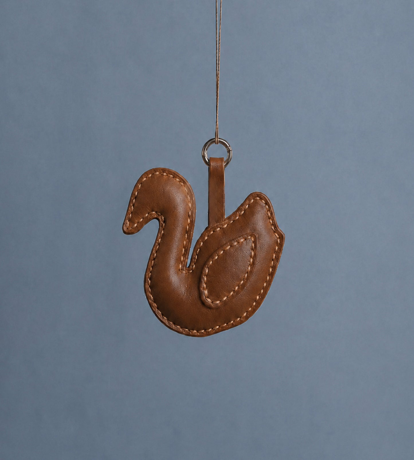 Lucky Swan