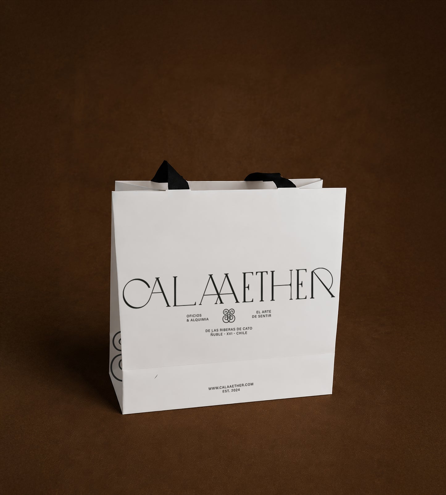 Bolsa Regalo