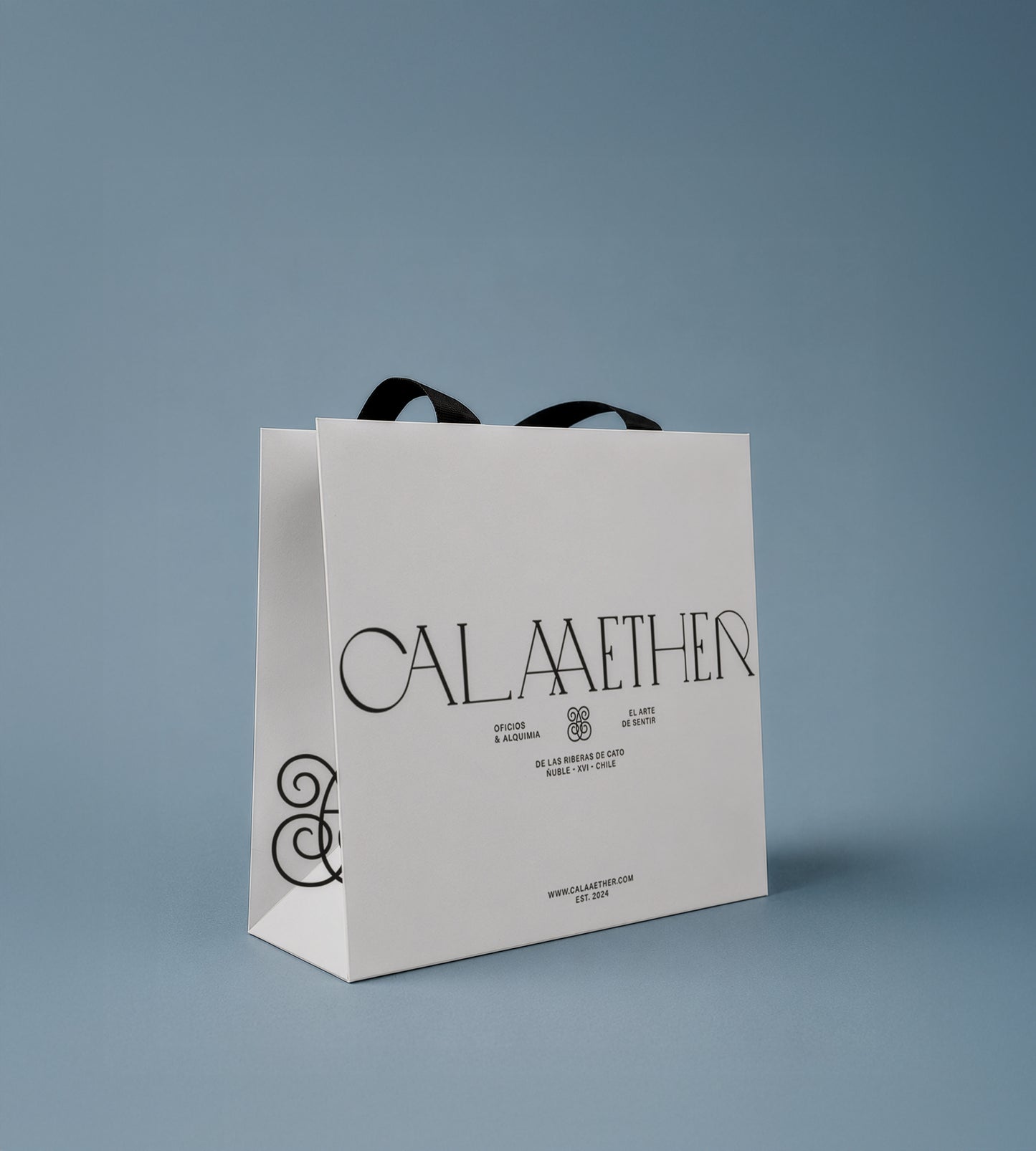 Bolsa Regalo