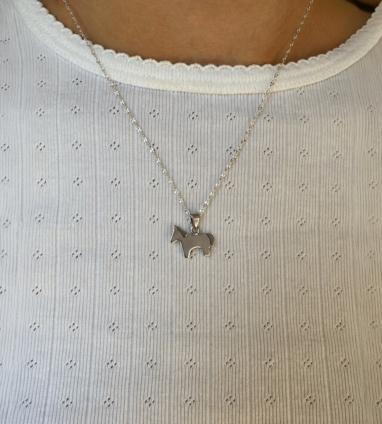 Collar Silver